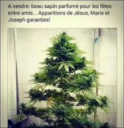 De quelle origine est le chant de Noël ''Mon beau sapin'' ?