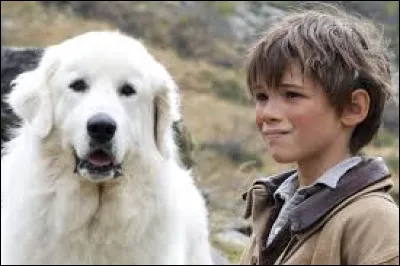 ''Belle et Sébastien'' a été imaginée pour le feuilleton télévisé du même nom en 1965. Avec le succès, sa créatrice décide de l'adapter en romans. Quel est le nom de l'écrivaine de cette série de livres pour la jeunesse ?