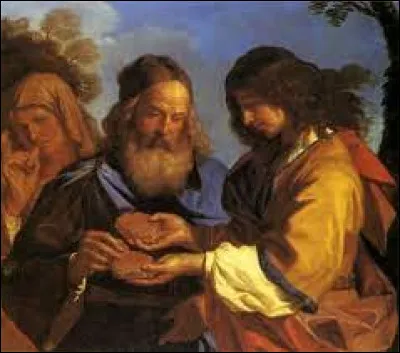 Que vit-il dans la carcasse de l'animal en décomposition quelques jours après ?