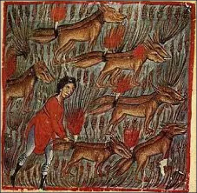 La vengeance de Samson ne s'arrêta pas là. Quels animaux Samson lache-t-il dans la nature pour détruire par le feu les champs des Philistins ?