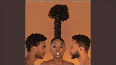 Quel est le titre de leur album sorti en 2017 ?