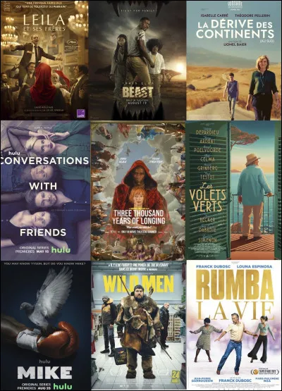 Quel est votre type de films préféré ?