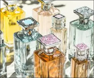Quel est votre type de parfum ?