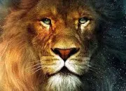 Quiz Culture gnrale autour du 'Lion'