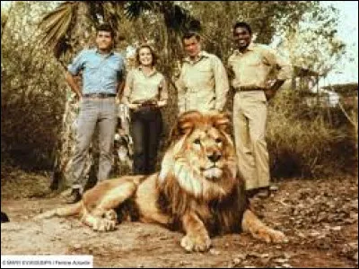 Comment s'appelle le lion dans la série télévisée "Daktari" ?