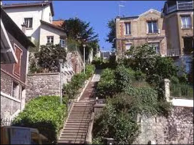 Ville de l'arrondissement de Boulogne-Billancourt, Sèvres se situe dans le département ...