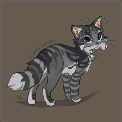 Maintenant, nous allons nous mettre dans la peau d'un chat de ''La guerre des clans''. Tu t'appelles Nuage de Fougère, et tu es apprenti(e) guerrier/guerrière. Lors de ta première Assemblée, quel clan admires-tu le plus (cela ne veut pas forcément dire que tu auras ce résultat) ?