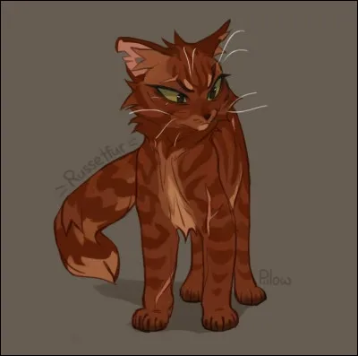 Les lunes passent, et au fur et à mesure des saisons, tu as développé des capacités physiques qui font de toi un grand guerrier/une grande guerrière. Quelles sont-elles ?