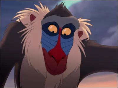 Que signifie le prénom de Rafiki ?