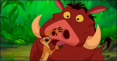 Pumbaa, savez-vous ce que signifie son nom ?