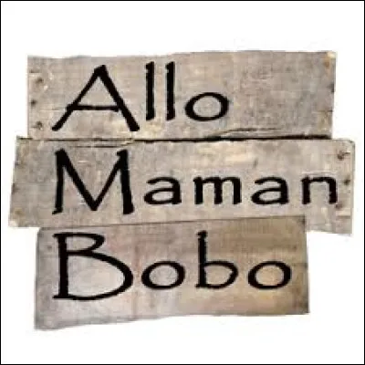 Qui a fait un tube avec " Allô maman bobo " ?