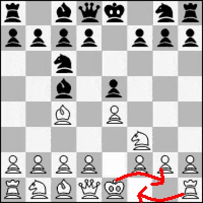En parlant de roque, combien de roques différents existe-t-il ?