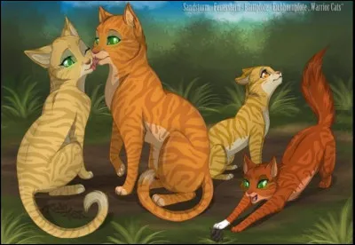 Comment sont les yeux de Griffe de Ronce ?