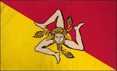 À quel pays correspond ce drapeau ?