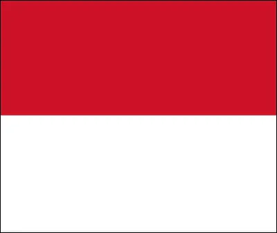 À quel pays correspond ce drapeau ?