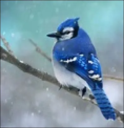 Gilbert Bécaud - L'Orange du marchand - Que cherchait-il dans la montagne ?