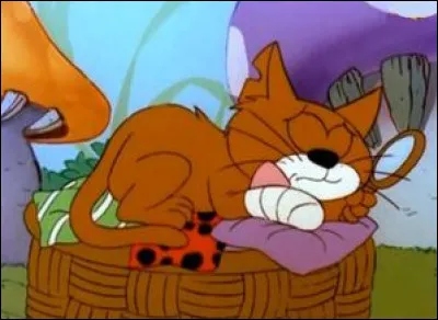 À quel auteur de BD appartient ce chat ?