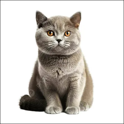 Quel clan préférez-vous ?