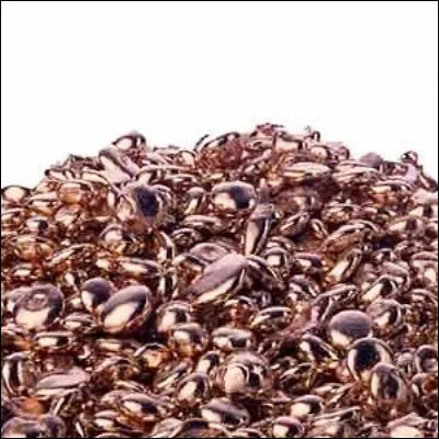 De quelle fleur de la famille des iridacées est extraite une épice surnommée lor rouge ?