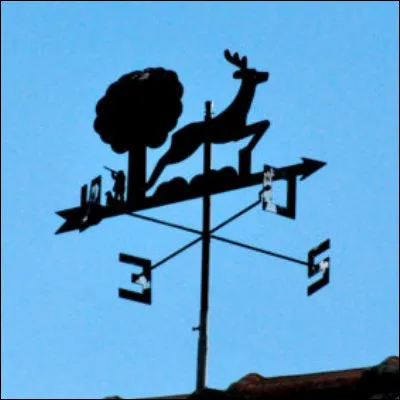 Comment appelle-t-on le mâle de la perdrix ?