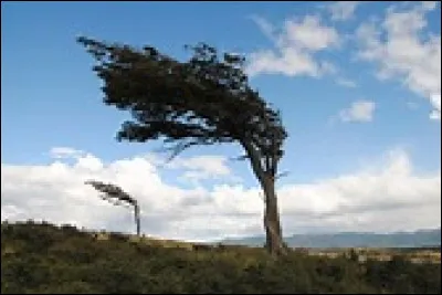 "Quand viendra-t-elle ?" d'Eugène Pottier qui connut l'exil. Cette chanson formule sans doute le vu d'un changement de régime. Quand il gèle, qu'a-t-il dans la cervelle ?