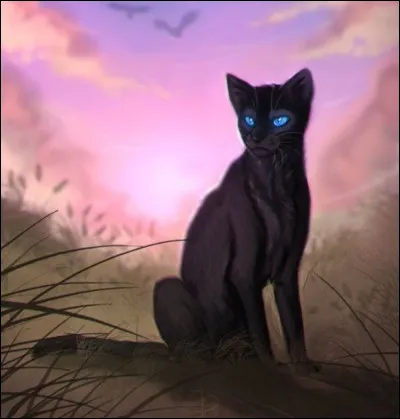 Nuage Noir (le premier) était :