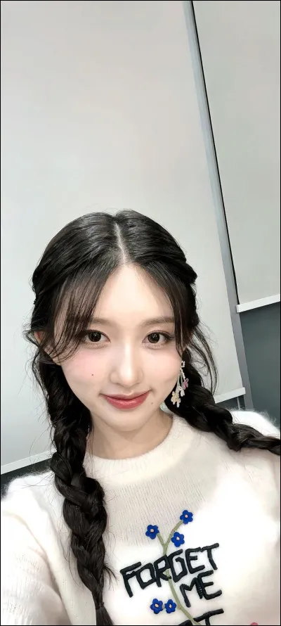 Qui est cette idole de k-pop ?