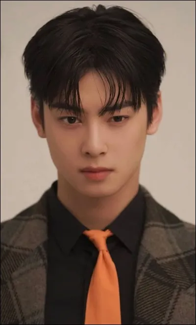 Qui est cette idole de k-pop ?