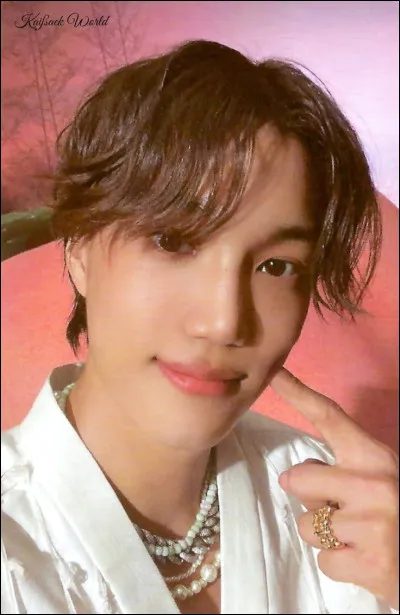 Qui est cette idole de k-pop ?