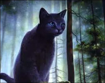 À quel clan aimerais-tu appartenir ?