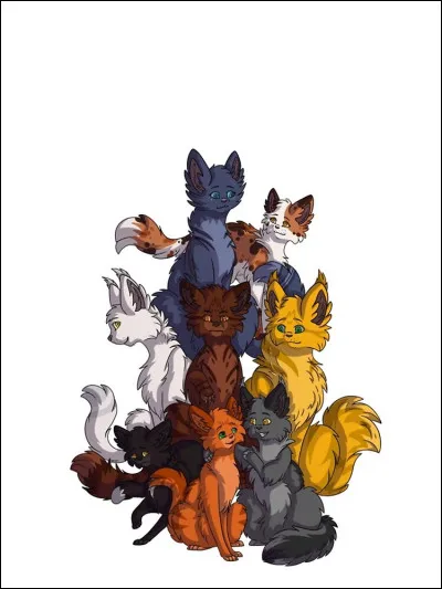 Que préfèrerais-tu faire en tant que chat ?