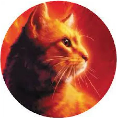 Et enfin, es-tu un mâle ou une femelle ? (Attention, je ne garantis pas que votre résultat sera du même sexe que vous !)