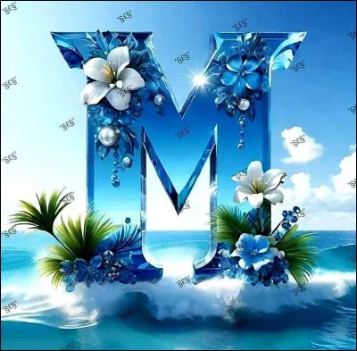 Méditerranée : qui chantait " Soudain j'ai vu passer les oies sauvages, elles s'en allaient dans le midi, la Méditerranée" dans sa chanson "Le Chasseur" ?