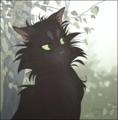 Quel est le pelage de Feuille de Houx ?