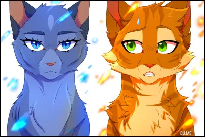 Pour commencer : quel était le nom de chaton d'Étoile Bleue ?