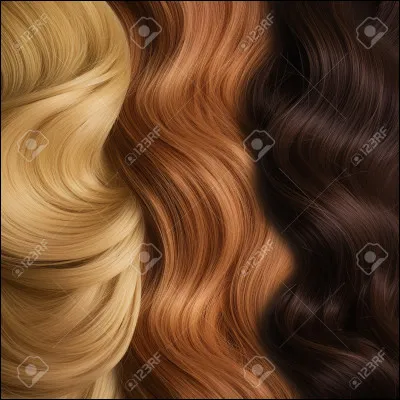 Quelle est ta couleur de cheveux ?