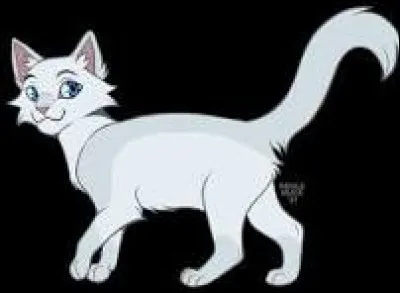 Impatient&eacute;e et apeur&eacute;e, la faim finit par t'avoir et tu entres. Une multitude de chats sont l&agrave;, trottant. Tu aper&ccedil;ois une pile de gibier qui t'a l'air bien app&eacute;tissant. Soudainement, tous les chatons se mettent &agrave; renifler pendant une fraction de secondes, et, tous en m&ecirc;me temps avec des yeux per&ccedil;ants, se tournent vers toi, les moustaches fr&eacute;tillantes et les crocs saillants. Que fais-tu ?