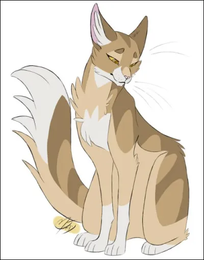 Il pivote la t&ecirc;te, curieux par ta r&eacute;ponse. Puis, il devine que tu es ici pour avoir asile car tu attends des chatons. Il te dit que tu peux rester ici, au Clan du Tonnerre. Tes chatons ne seront pas de refus, claironne-t-il ! Puis, il te propose d'aller &agrave; la pouponni&egrave;re. C'est vide, &agrave; part une femelle gris perle mouchet&eacute;e et une au pelage cr&egrave;me. Les deux te d&eacute;visagent. Que fais-tu ?