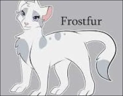 La femelle cr&egrave;me te sourit, amus&eacute;e, et se pr&eacute;sente. "Bienvenue dans le clan ! Je me nomme Chipie. Moi aussi, avant, j'&eacute;tais une solitaire. Si tu veux, je pourrais t'aider &agrave;...". Soudainement, une voix que tu identifies comme &eacute;tant celle d'&Eacute;toile de Feu r&eacute;sonne, appelant tous les guerriers. Il dit qu'ils ont recrut&eacute; une nouvelle membre : toi. Tous te scrutent. Que fais-tu ?