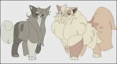 Oh, et tu as tes chatons ! Ils sont quatre, quatre et forts. Qu'en penses-tu, d'ailleurs ? Chipie est extr&ecirc;mement contente pour toi et dit qu'elle est s&ucirc;re qu'ils seront d'exceptionnels guerriers. Ou m&ecirc;me gu&eacute;risseurs, qui sait ? Que r&eacute;ponds-tu ?