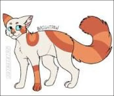 Comment les nommes-tu, d'ailleurs ? Voici la premi&egrave;re : une jolie femelle blanche aux taches rousses. Elle a des yeux bleus comme le ciel. Son pelage est doux, sans &ecirc;tre trop &eacute;pais.