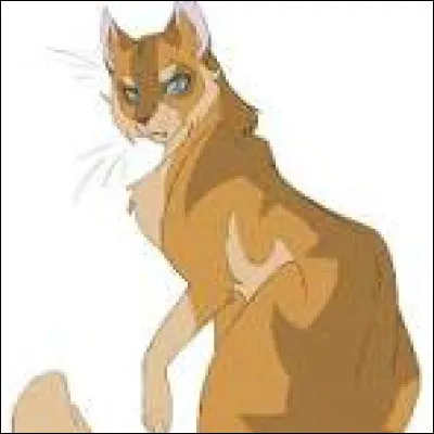 Le prochain est un matou brun, dor&eacute; et tigr&eacute;. Ses yeux sont d'un bleu acier et son pelage est lisse. Le bout de sa queue est plus clair. Il a l'air s&eacute;rieux. Le seul morceau de son pelage plus touffu est sa queue, sans trop l'&ecirc;tre. Ses oreilles sont assez petites.