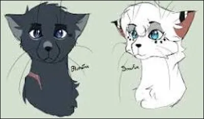 Et les personnes avec qui tu tra&icirc;nes, pour la plupart, sont...