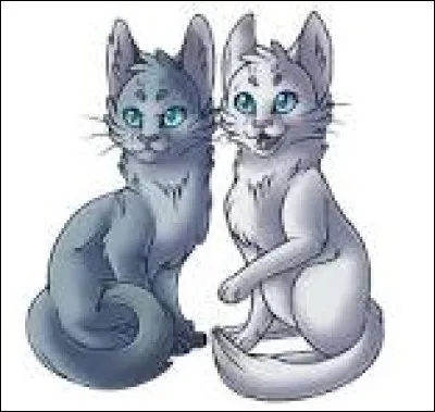 Et quelle relation as-tu entre fr&egrave;res et s�urs ?