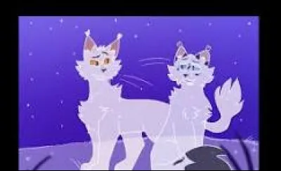 Si tu es chef d'un clan, et qu'une chatte qui va mettre bas dans quelques jours, en pleine saison froide, te demande de se reposer &agrave; votre camp, acceptes-tu ?