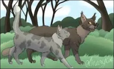 Quels d&eacute;fauts d&eacute;testes-tu le plus ?