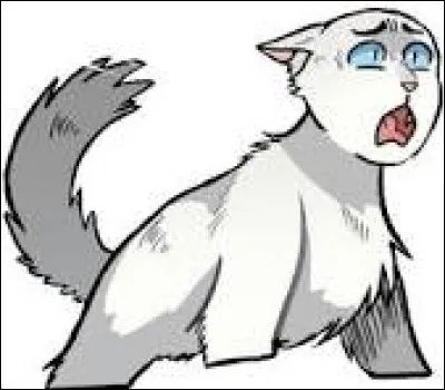 Commen&ccedil;ons une histoire !Tu es une chatte blanche et solitaire. C'est la mauvaise saison, et tu vas mettre bas dans quelques jours. Tu as besoin d'un asile et de manger, mais tu es trop &eacute;puis&eacute;e. Tu vois un camp, soudainement, prot&eacute;g&eacute; par des ronces. Est-ce que tu oses y entrer ?