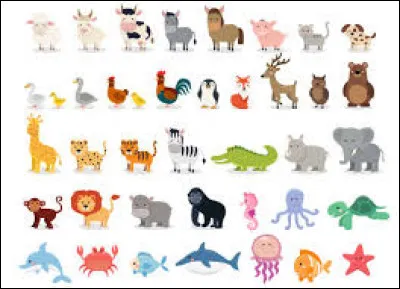 Quel est l'animal le plus propre ?