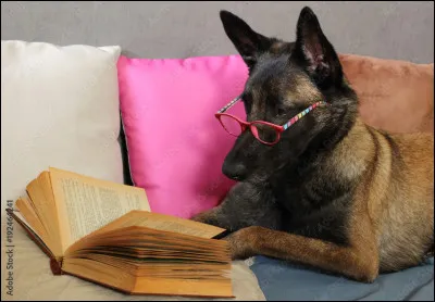 Veux-tu du fantastique ?