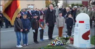 Je vous propose d'assister aux c&eacute;r&eacute;monies des 80 ans de la lib&eacute;ration d'Herb&eacute;viller (le 2/11/2024). Village de Lorraine, dans le Lun&eacute;villois, travers&eacute; par la Verdurette et bord&eacute; par la Vezouze, il se situe dans le d&eacute;partement ...